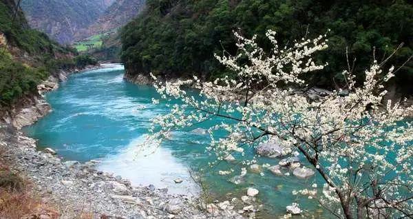 冬天要多吃芋头，教你新吃法，不蒸不炒不烙饼，一上桌就抢光游戏画面