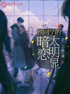 王子与公主冒险